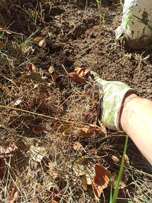 Abrir modal de revisión 1 de 1