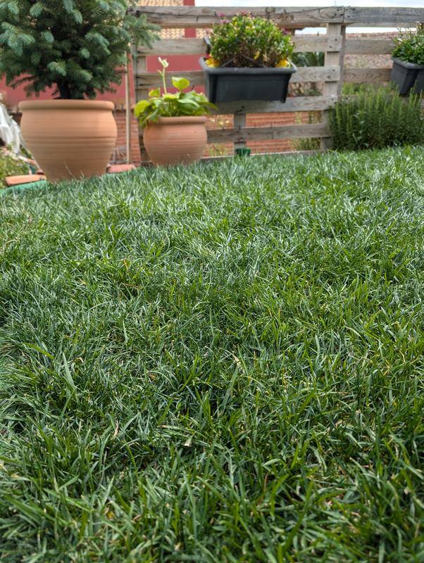 Abrir modal de revisión 2 de 2