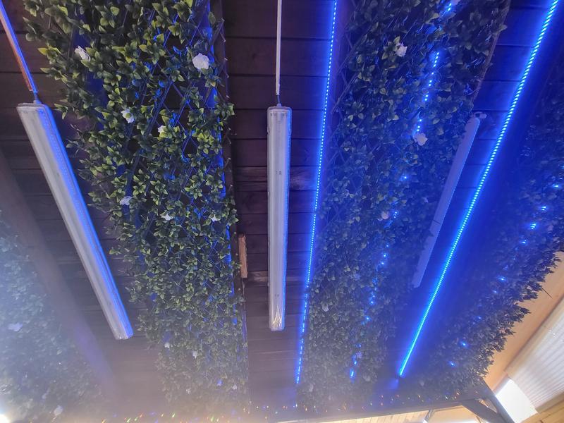 Abrir modal de revisión 2 de 2