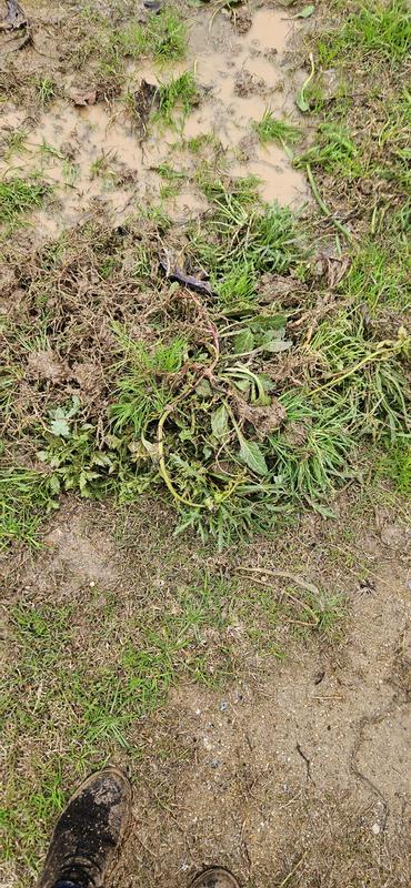 Ouvrir la fenêtre modale de l'avis 1 sur 3