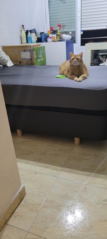 Abra o modal de avaliação 2 de 2