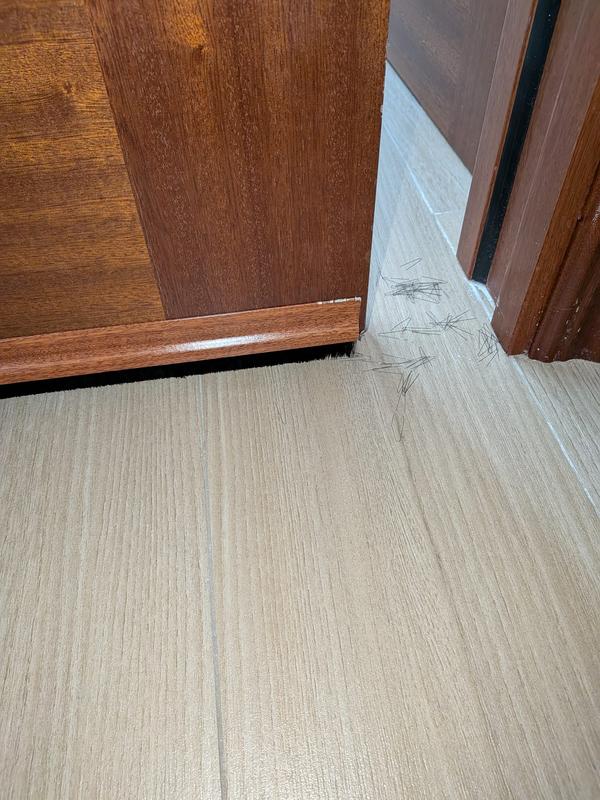 Abrir modal de revisión 1 de 2