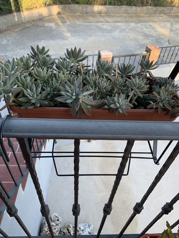 Abra o modal de avaliação 1 de 2