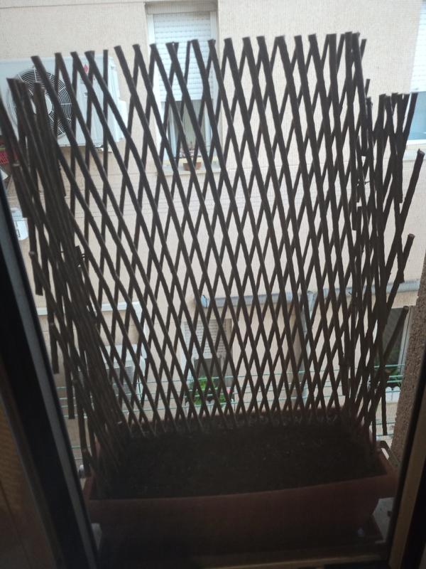 Abra o modal de avaliação 1 de 1