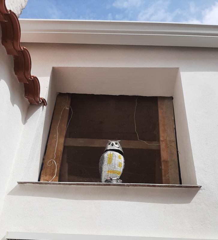 Abra o modal de avaliação 1 de 1