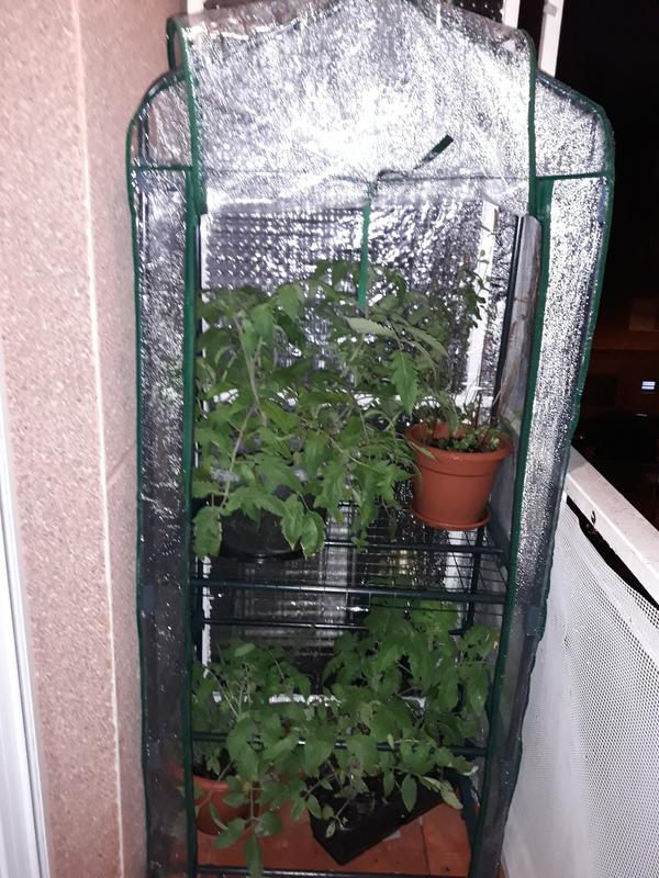 Abrir modal de revisión 2 de 2