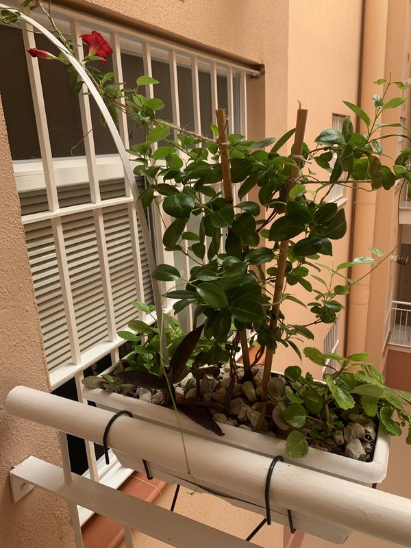 Abrir modal de revisión 1 de 1