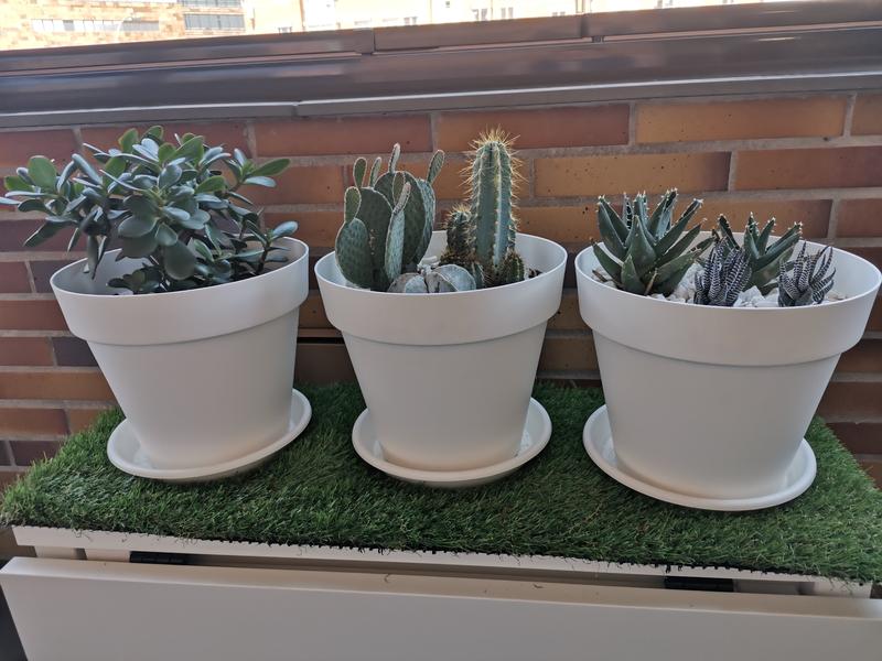 Abrir modal de revisión 1 de 2