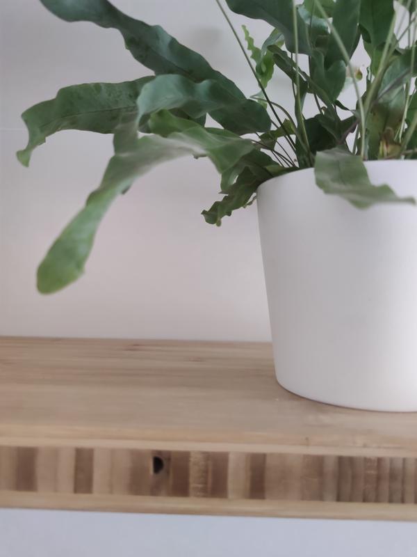 Abrir modal de revisión 2 de 2