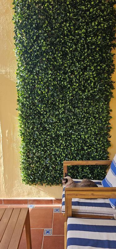 Abra o modal de avaliação 1 de 1