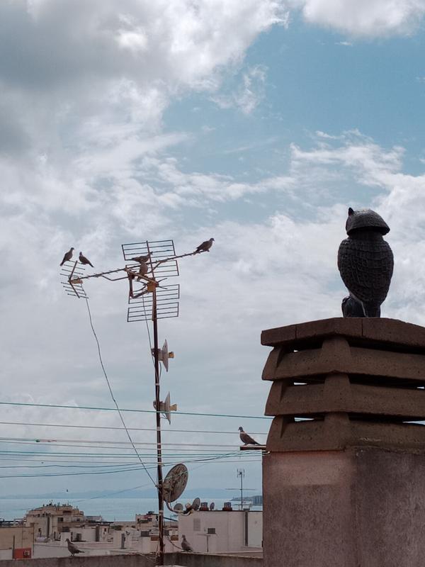 Abra o modal de avaliação 1 de 1