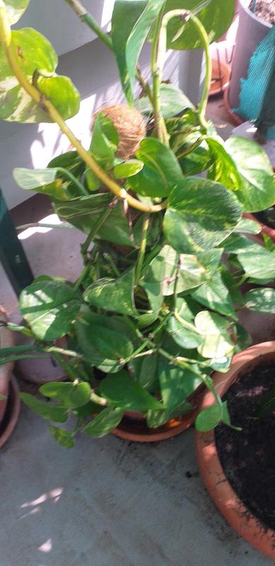 Ouvrir la fenêtre modale de l'avis 1 sur 2