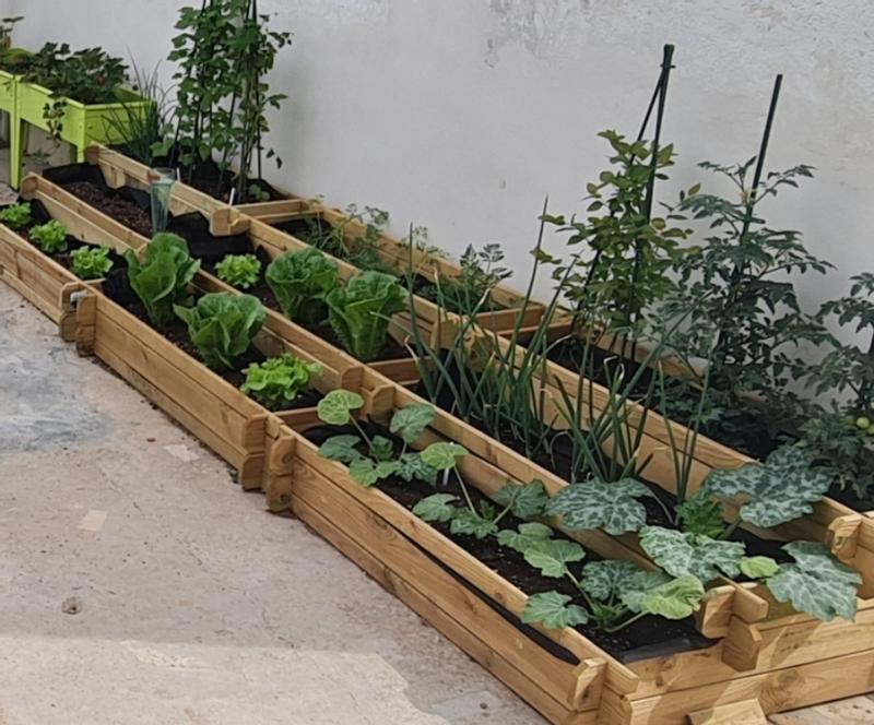 Abra o modal de avaliação 1 de 1