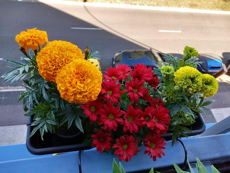 Abrir modal de revisión 1 de 1