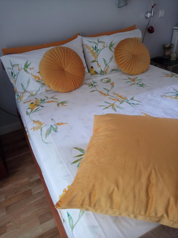 Abrir modal de revisión 1 de 1