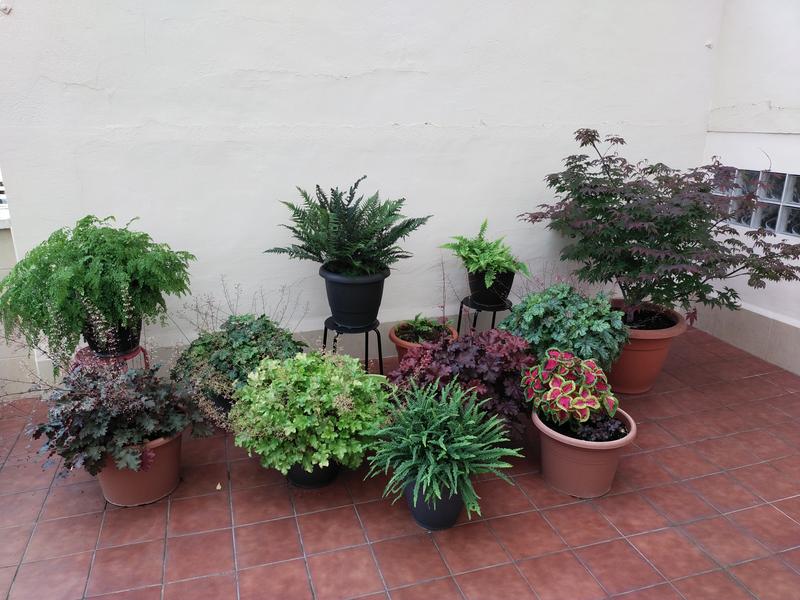 Abra o modal de avaliação 1 de 1