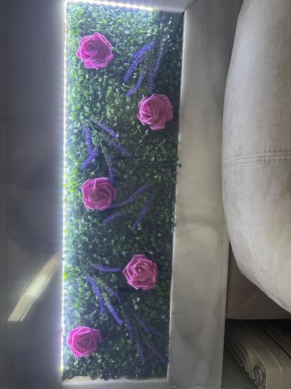 Abrir modal de revisión 1 de 1