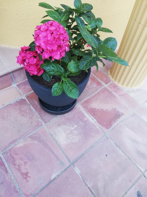 Abrir modal de revisión 1 de 1