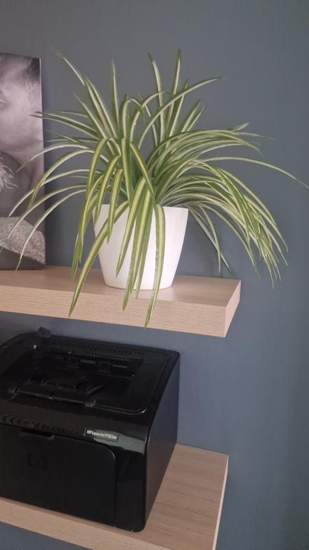 Abra o modal de avaliação 1 de 1