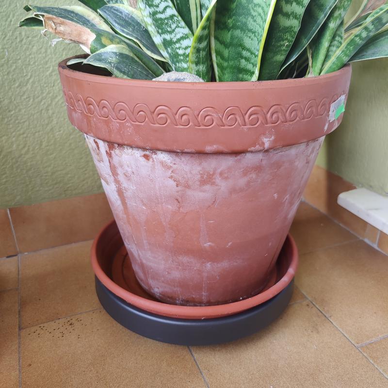 Abrir modal de revisión 3 de 3