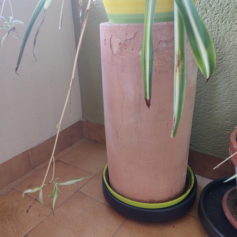 Abrir modal de revisión 1 de 3