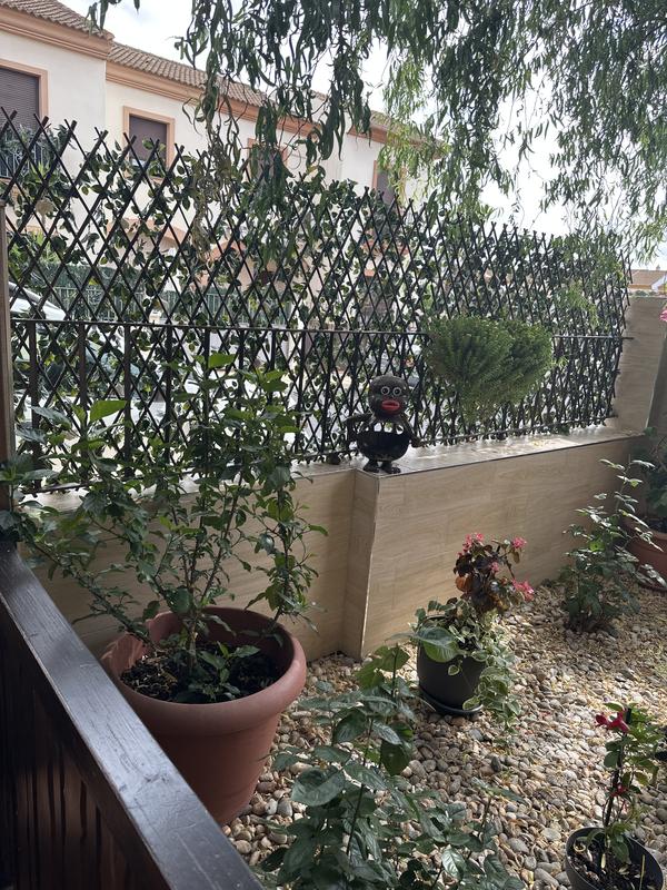 Abrir modal de revisión 2 de 3