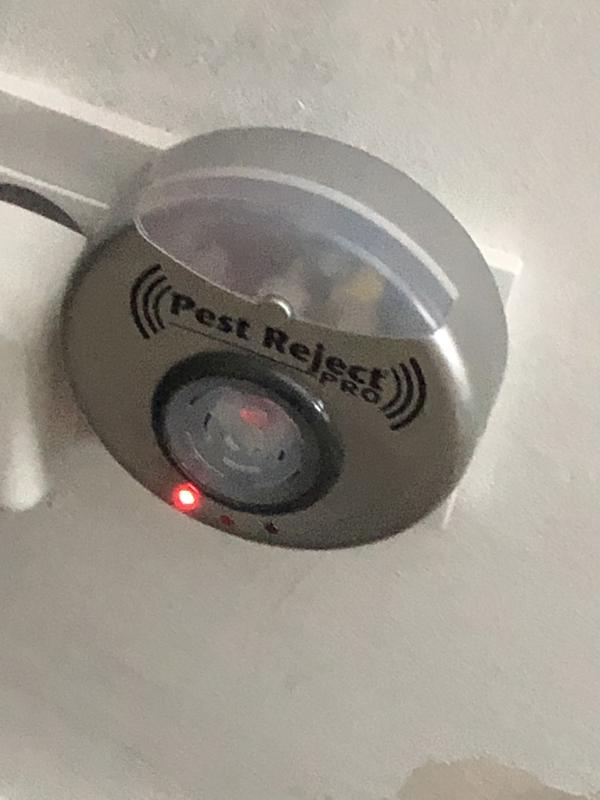 Abrir modal de revisión 1 de 1