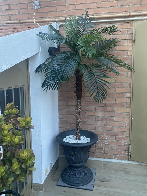 Abrir modal de revisión 1 de 1