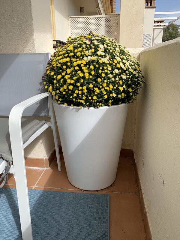 Abrir modal de revisión 1 de 1