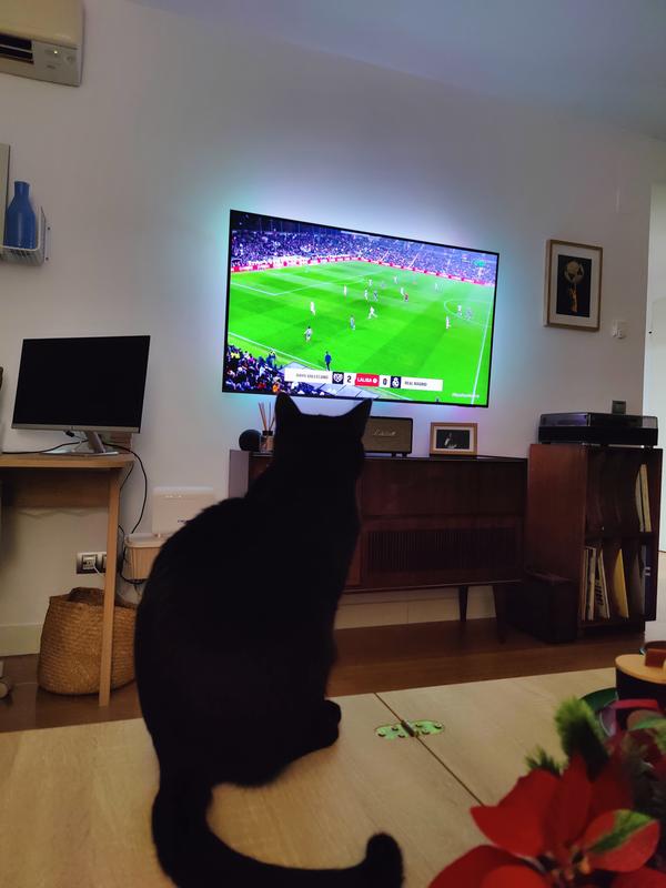 Abrir modal de revisión 3 de 3