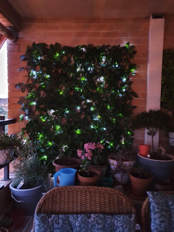 Abra o modal de avaliação 1 de 1