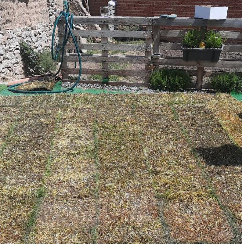 Abrir modal de revisión 1 de 2