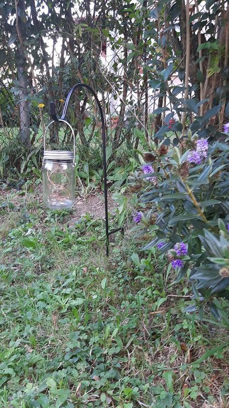 Revisione aperta modale 1 su 2