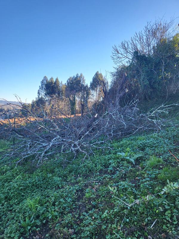 Ouvrir la fenêtre modale de l'avis 4 sur 4