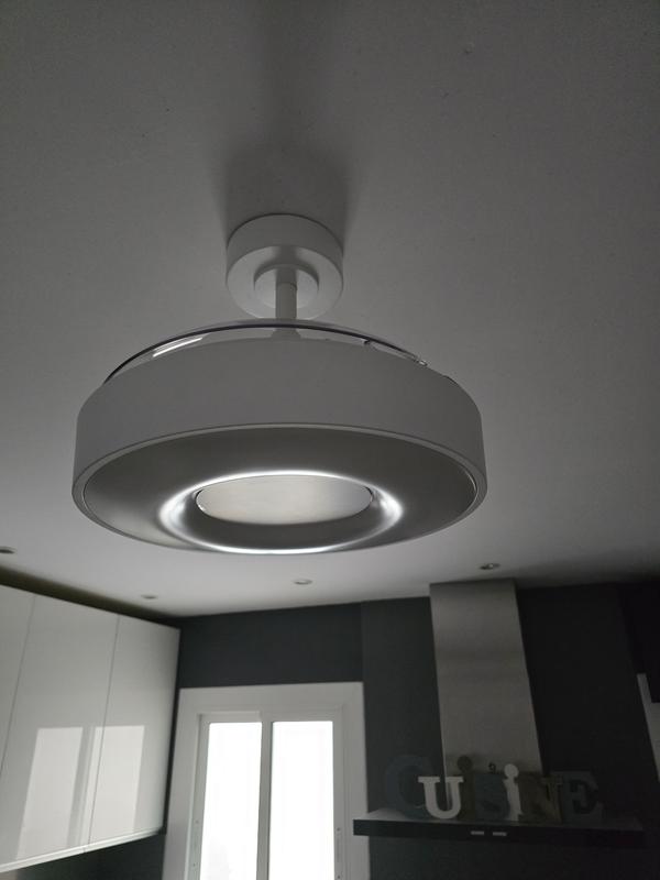 Revisione aperta modale 1 su 1