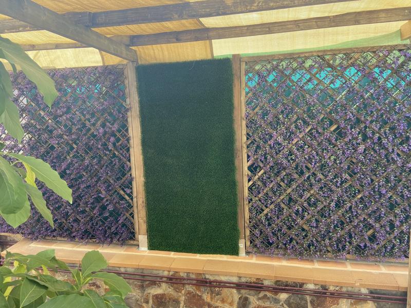 Abra o modal de avaliação 1 de 1