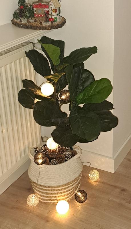 Abra o modal de avaliação 1 de 1