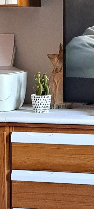 Abrir modal de revisión 1 de 1