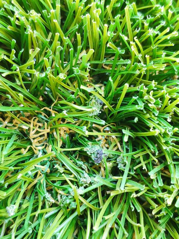 Abrir modal de revisión 1 de 1