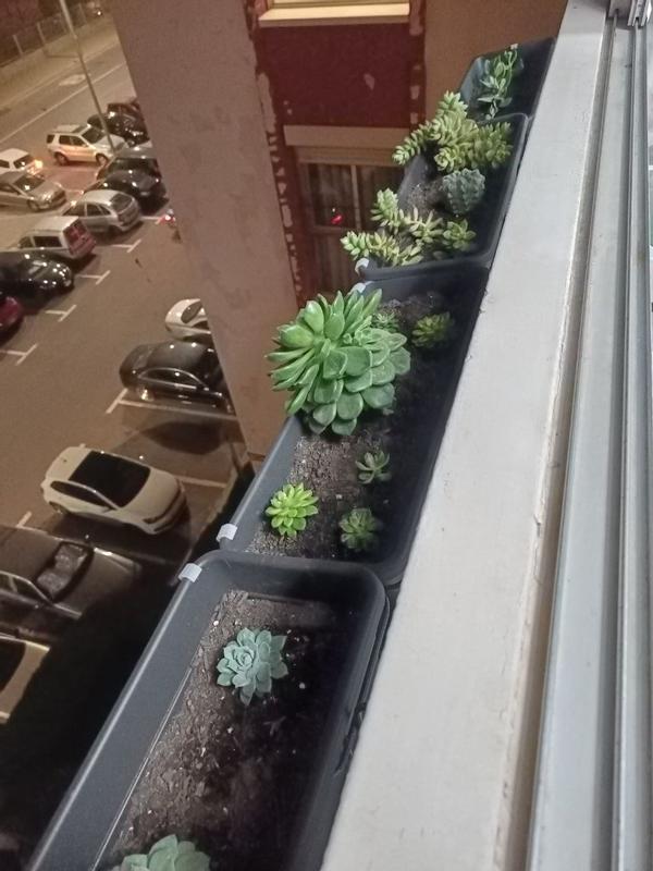 Abrir modal de revisión 1 de 2