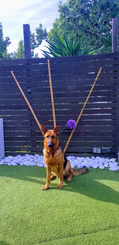 Abrir modal de revisión 1 de 1