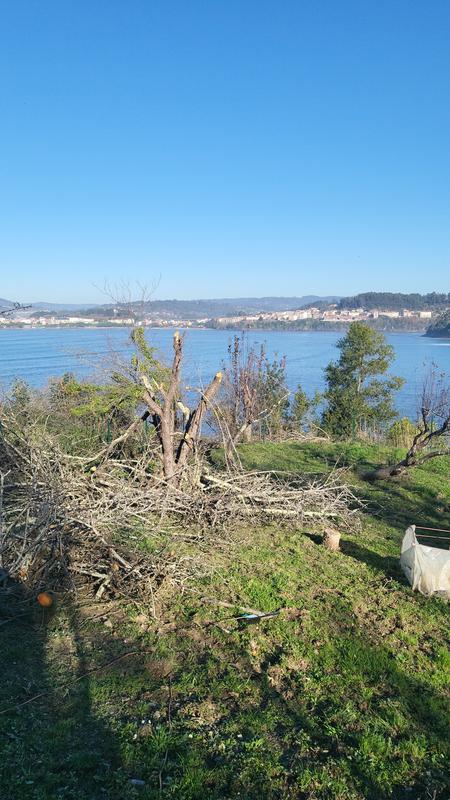 Ouvrir la fenêtre modale de l'avis 2 sur 4