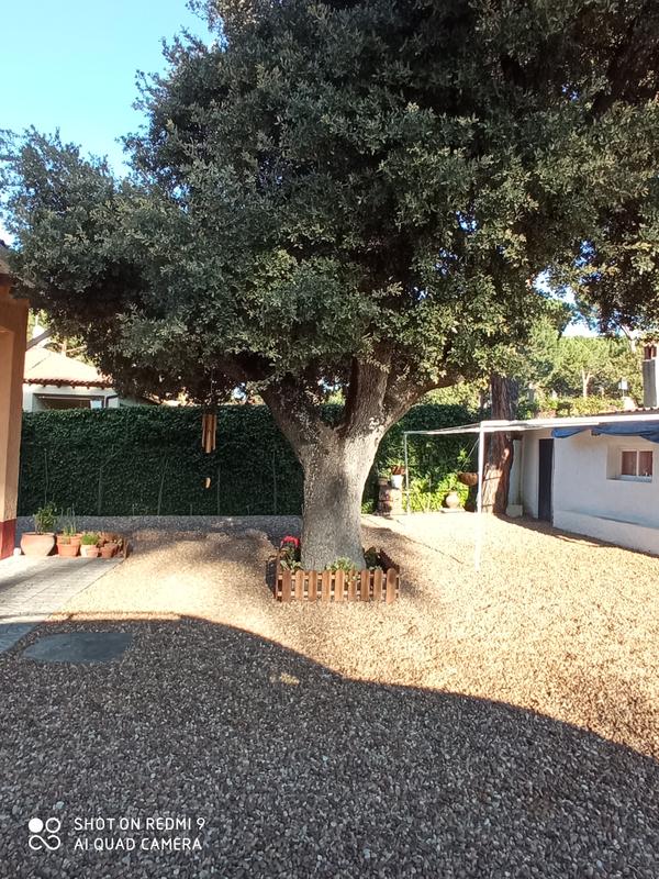 Revisione aperta modale 1 su 1