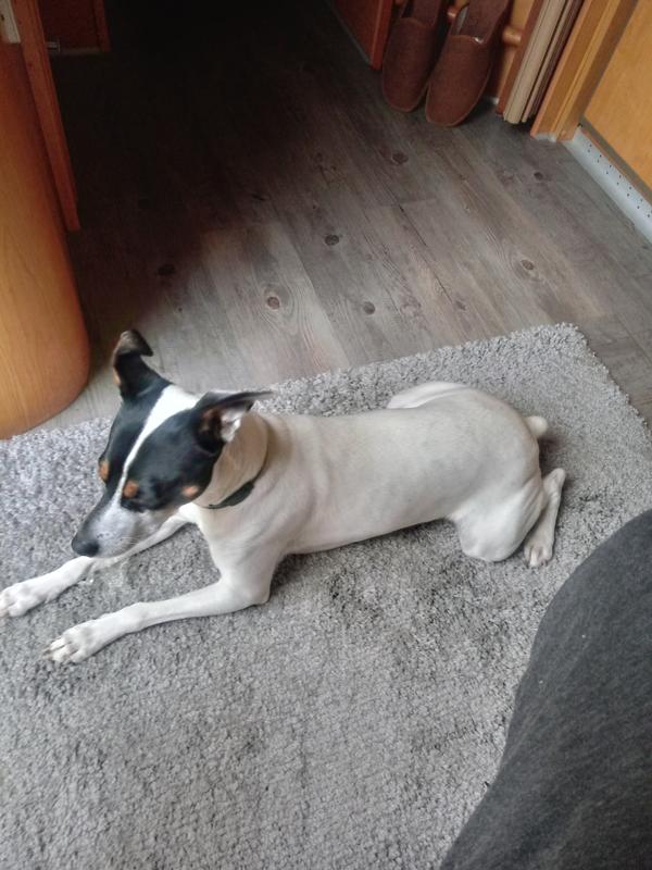 Abrir modal de revisión 2 de 2