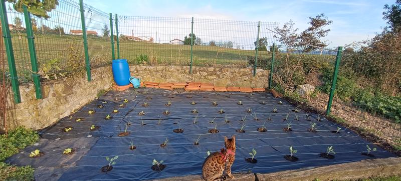 Abrir modal de revisión 1 de 1