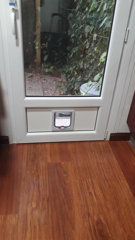 Abrir modal de revisión 1 de 1