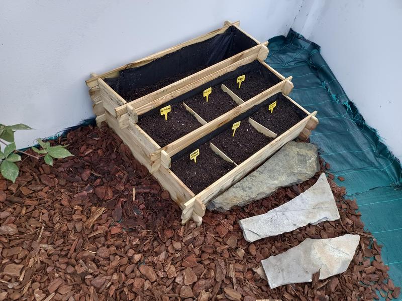 Abra o modal de avaliação 1 de 1