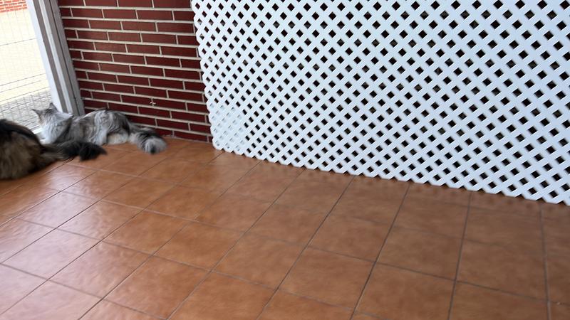 Abra o modal de avaliação 1 de 1