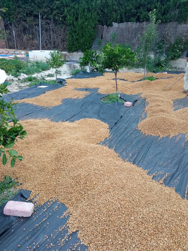 Abrir modal de revisión 1 de 1