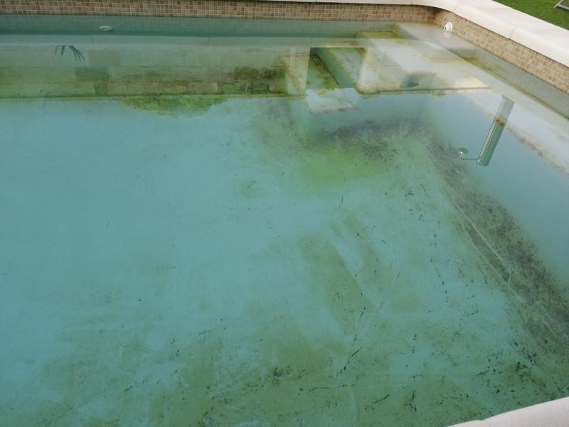 Abrir modal de revisión 1 de 2